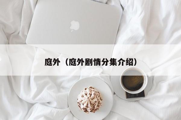 庭外（庭外剧情分集介绍）