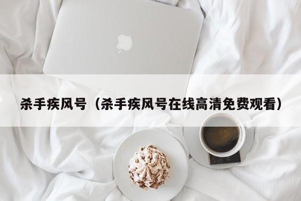 杀手疾风号（杀手疾风号在线高清免费观看）
