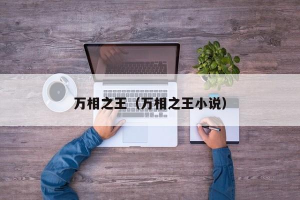 万相之王（万相之王小说）