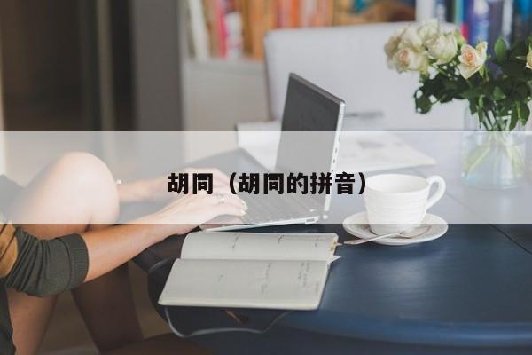 胡同（胡同的拼音）